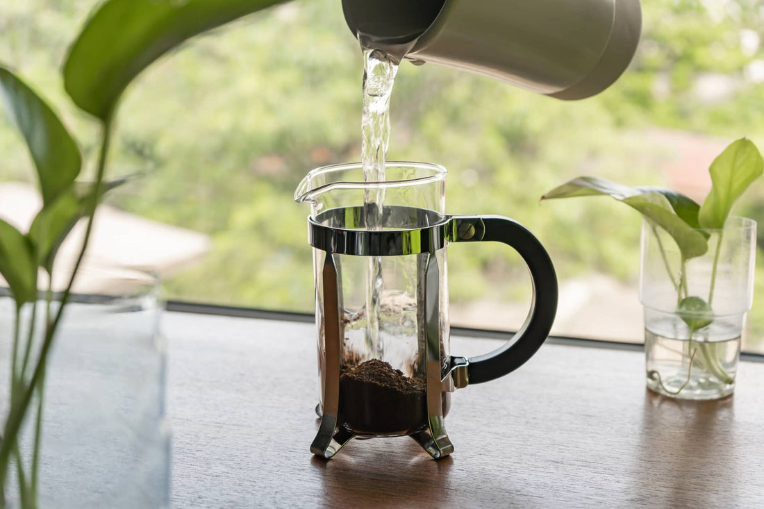 ¿Cómo preparar café en prensa francesa?