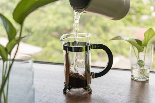 ¿Cómo preparar café en prensa francesa?