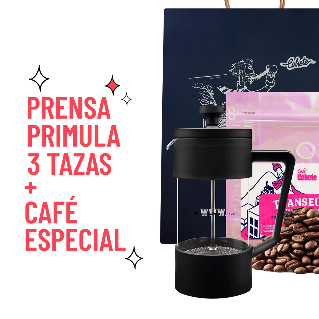 Primula Express French Press Kit