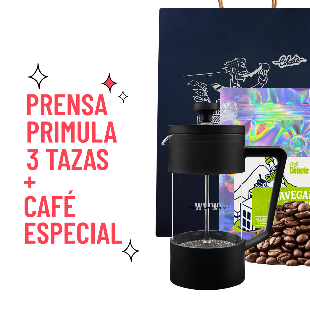 Primula Express French Press Kit