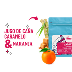 Café De Especialidad Andante (Colombia) - 340 g