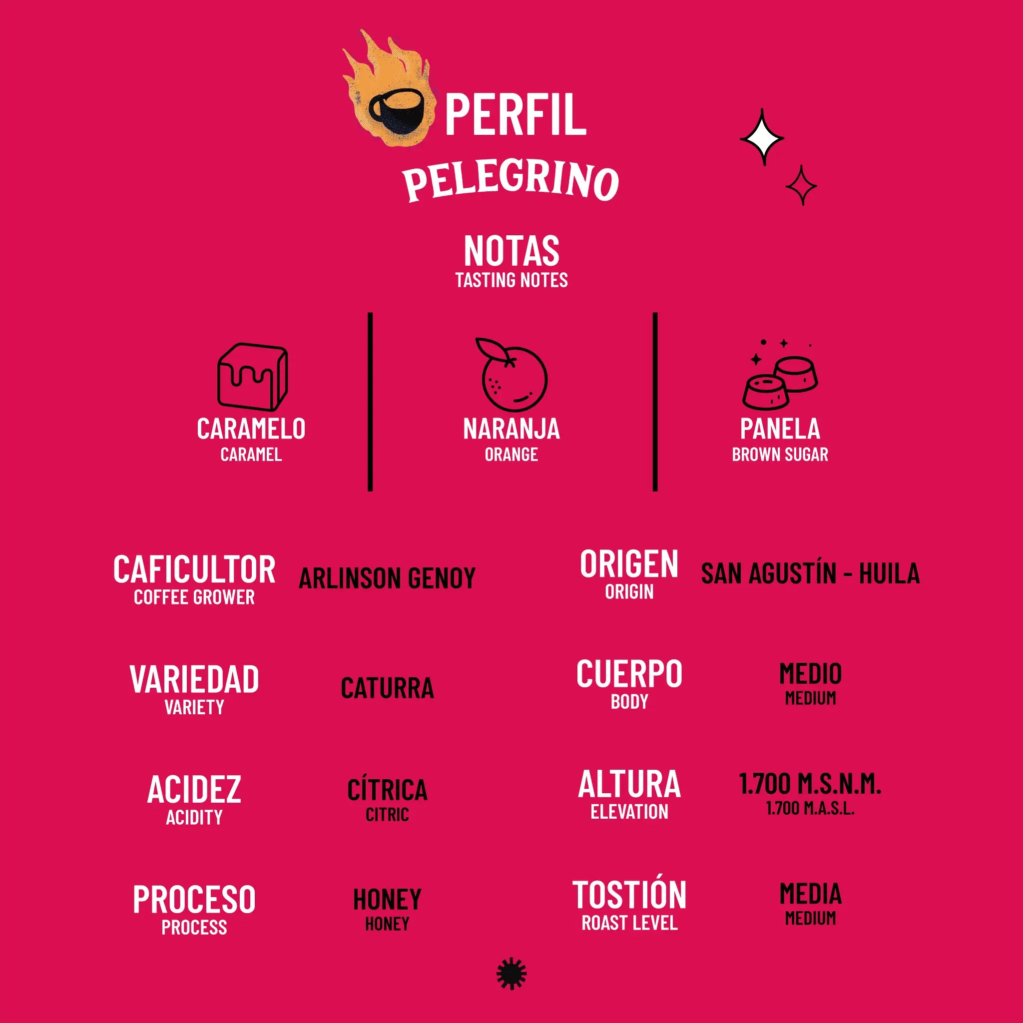 Café De Especialidad Peregrino (Caturra Honey) - 340 g