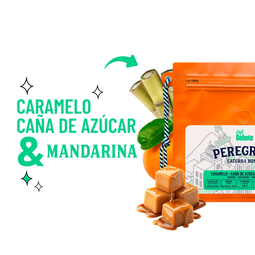 Café De Especialidad Peregrino (Caturra Honey) - 125 g y 340 g