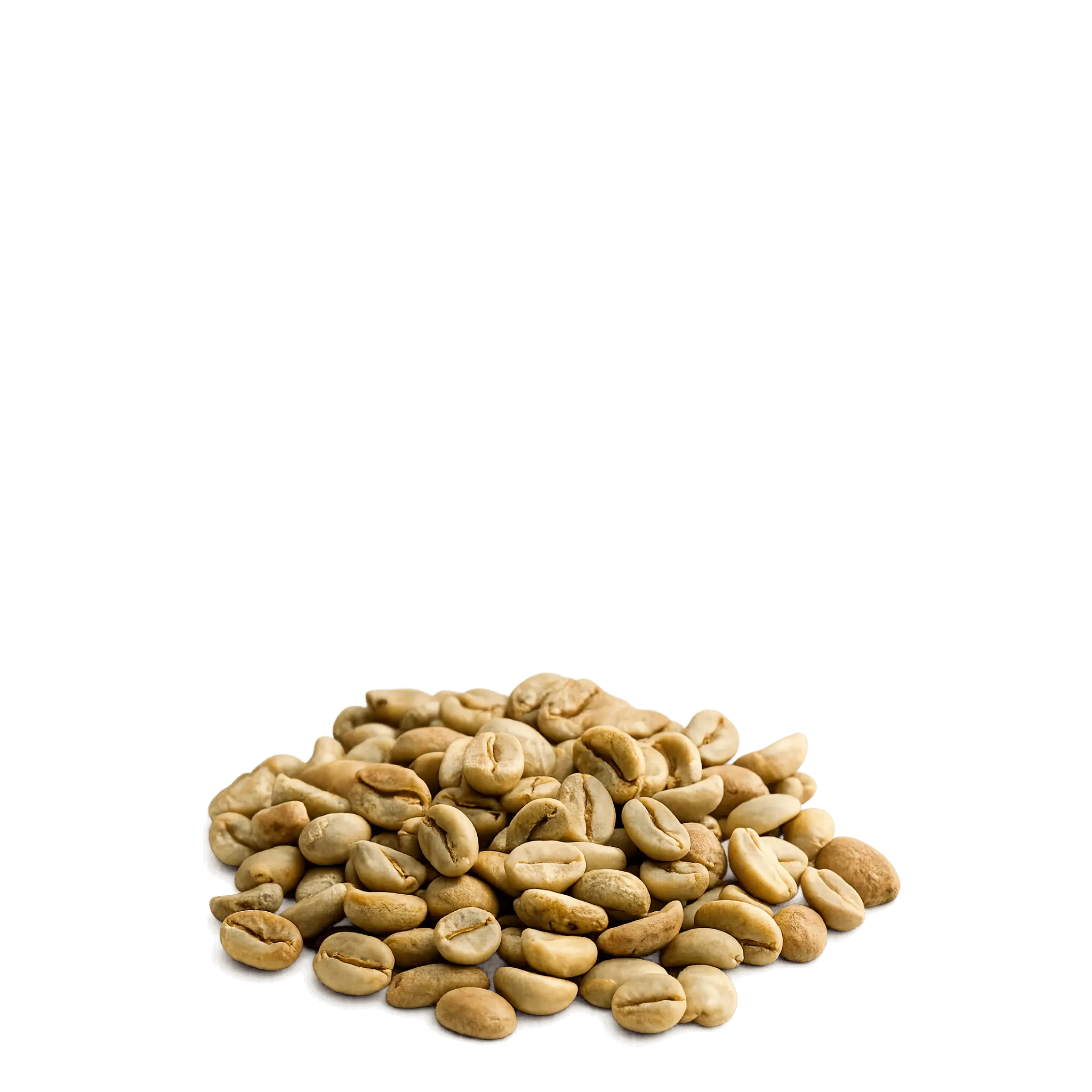 Café verde (Sl-28 Honey)