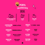 Café De Especialidad Transeúnte (Bourbon Amarillo) - 1 Kg