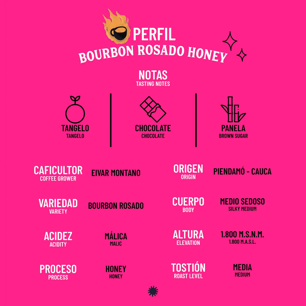 Café Especial Bourbon Rosado Honey 1 Kg