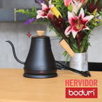Hervidor Eléctrico Cuello De Ganso Bodum Melior