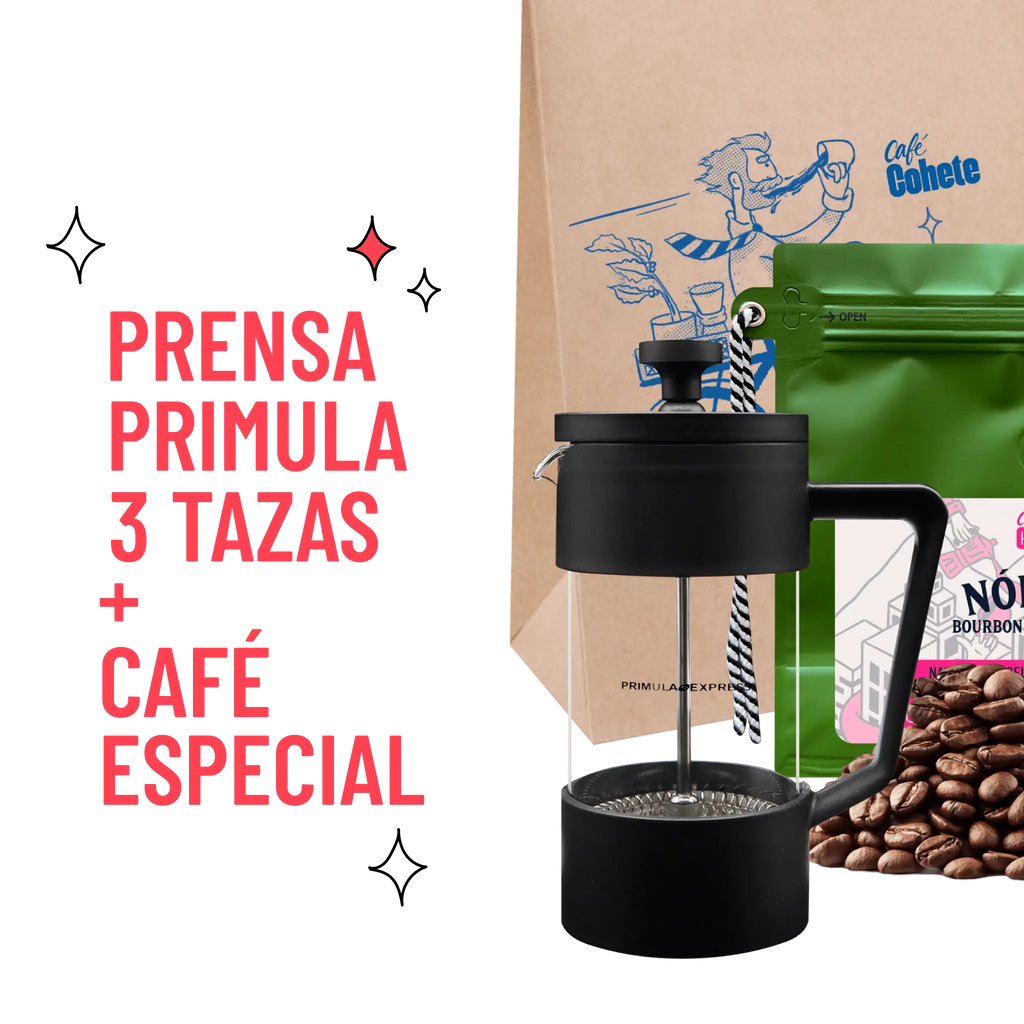 Primula Express French Press Kit