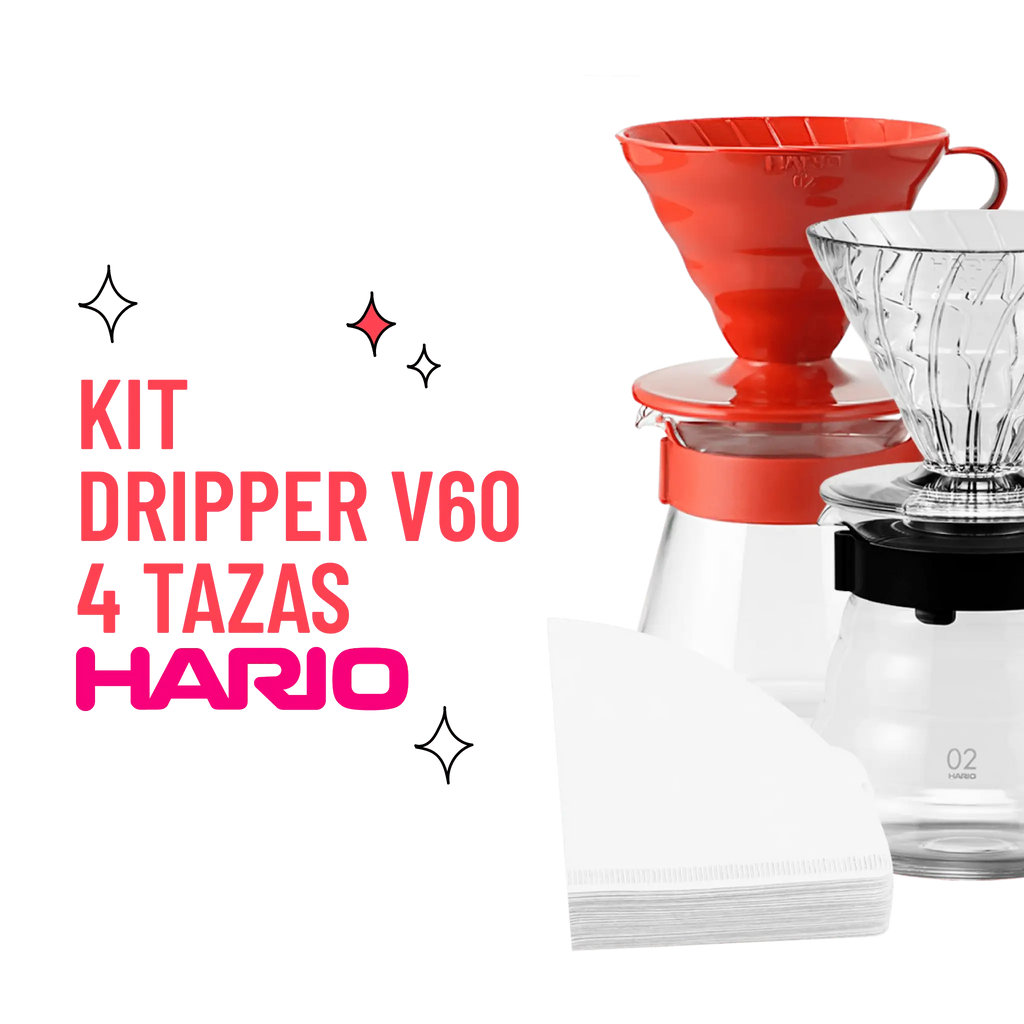 Kit Dripper V60 Hario