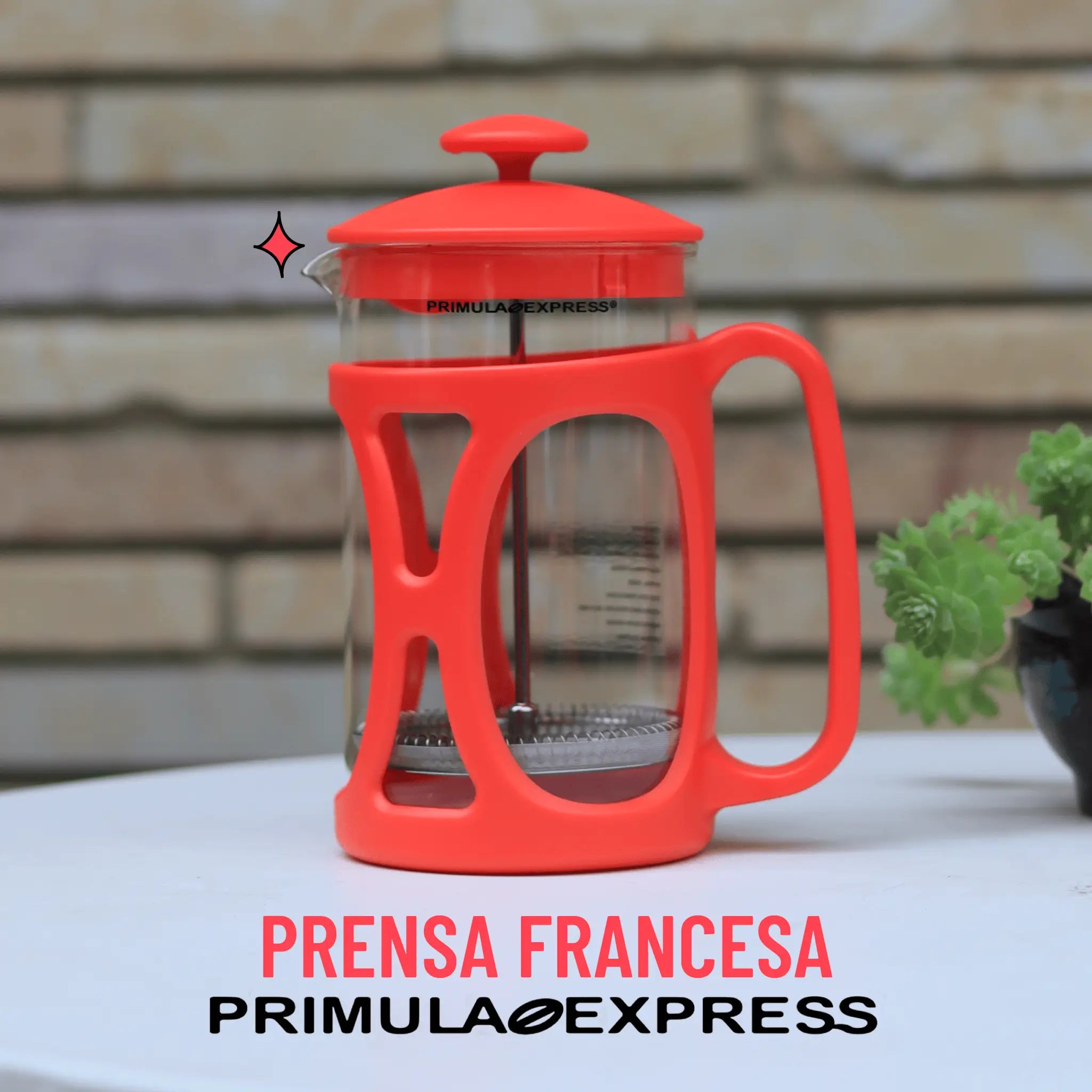 Prensa Francesa Primula Express