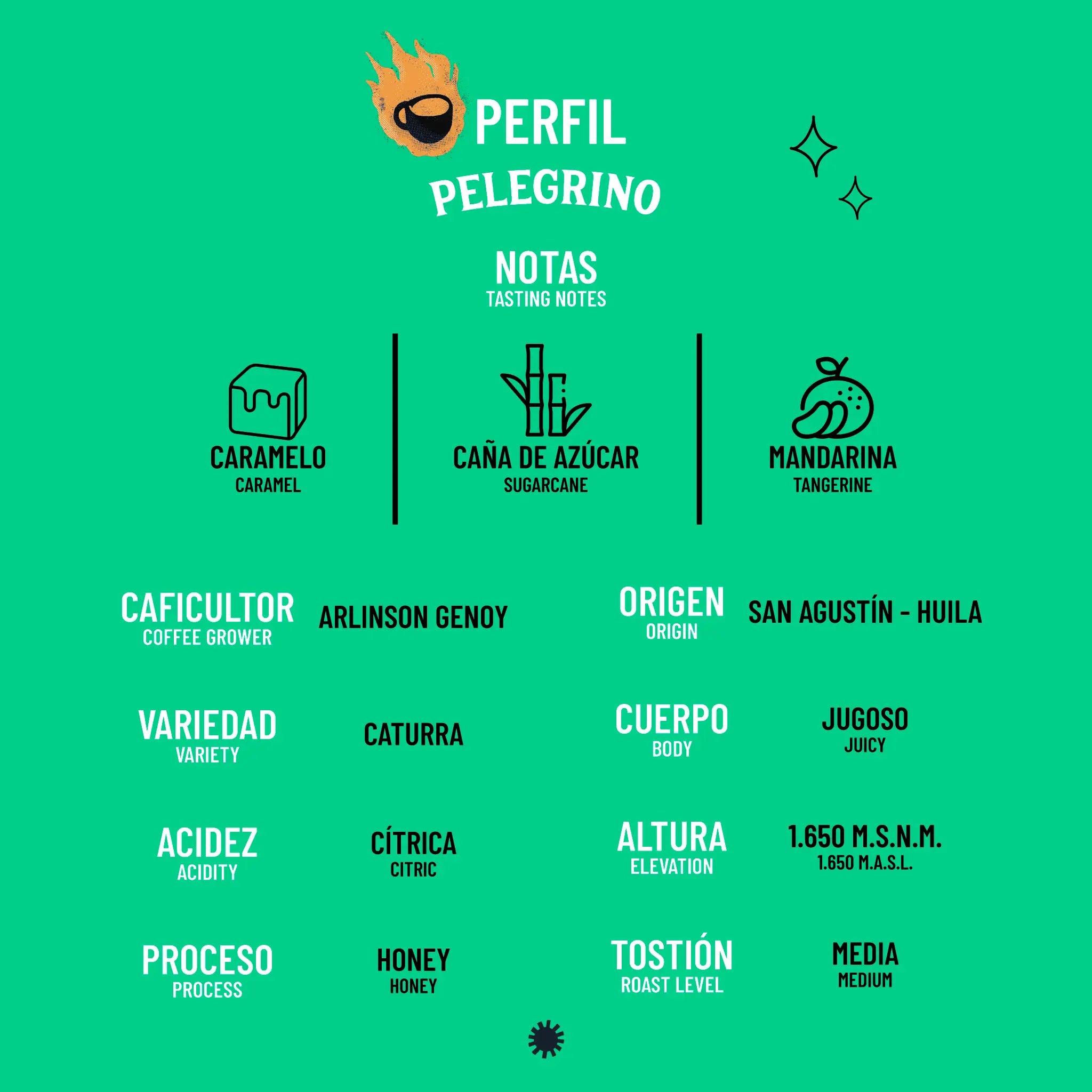 Café De Especialidad Peregrino (Caturra Honey) - 125 g y 340 g